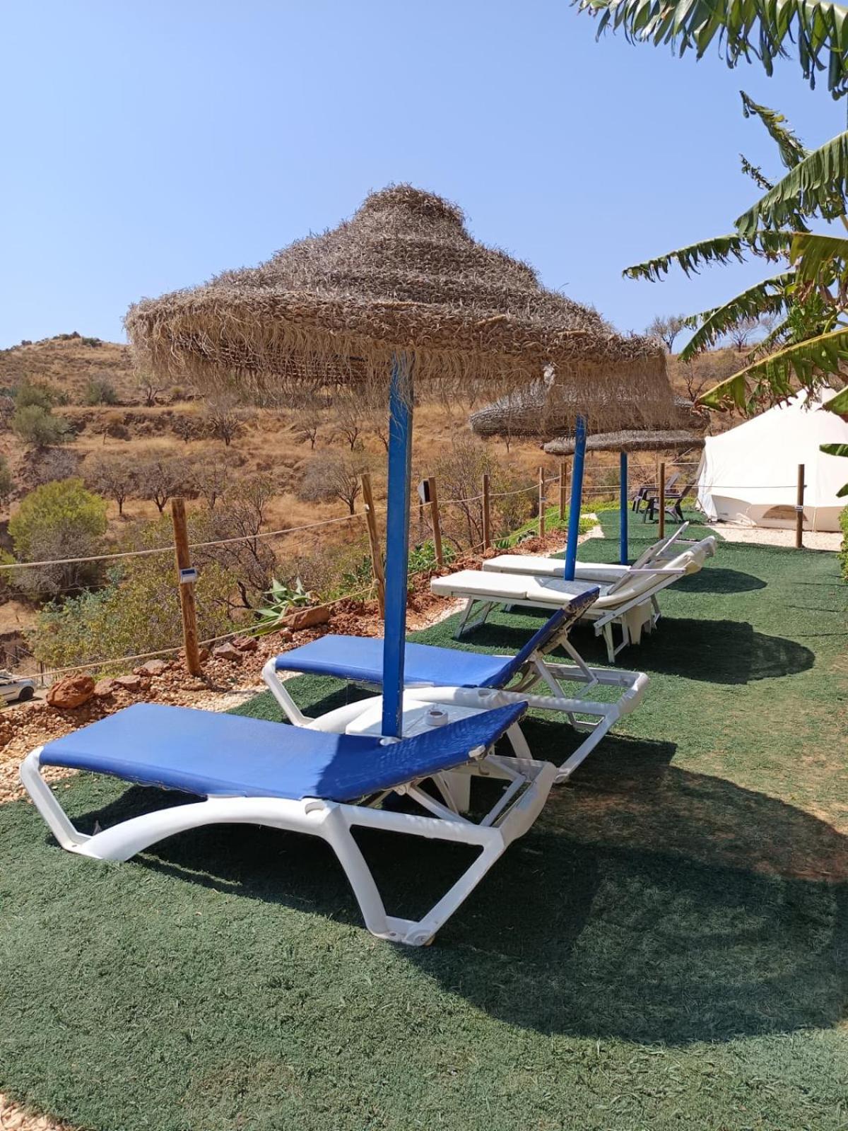 Glamping Finca El Olivo มิฮาส ภายนอก รูปภาพ
