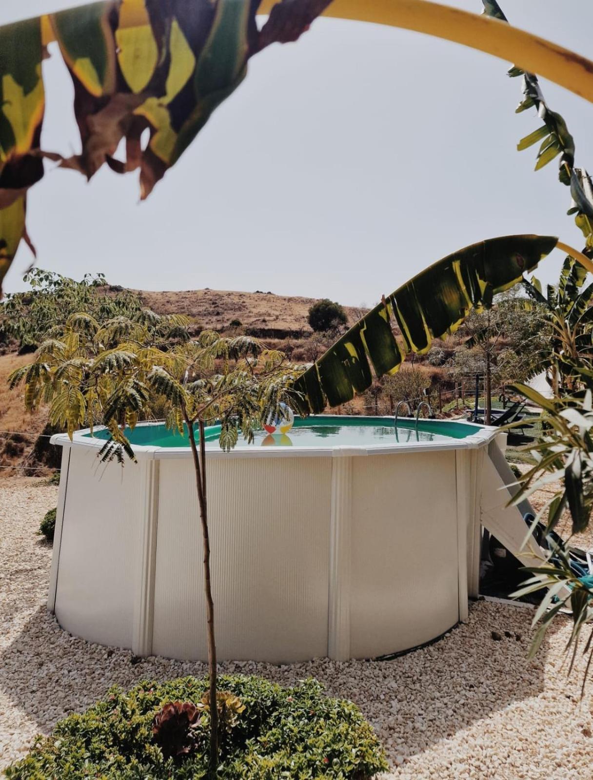 Glamping Finca El Olivo มิฮาส ภายนอก รูปภาพ